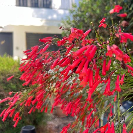 PaphosNatalia'S Townhouse, Margarita Gardens 003别墅 外观 照片