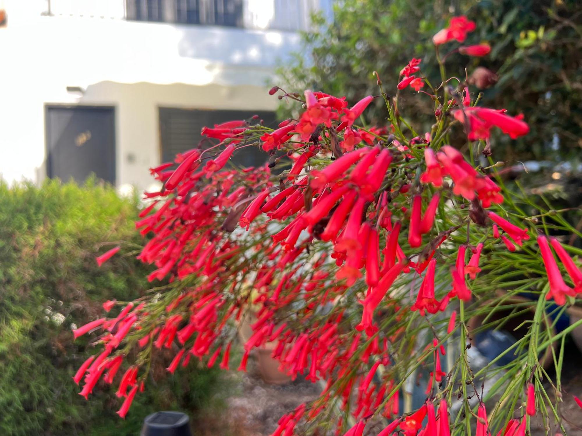PaphosNatalia'S Townhouse, Margarita Gardens 003别墅 外观 照片